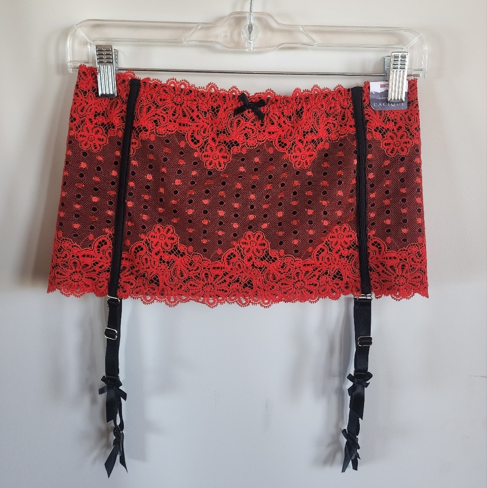 Lane Bryant Seriously Sexy Garter Belt 18/20